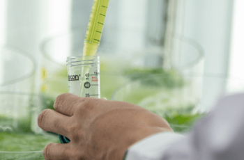 Closeup of hands squeezing greenish-yellow liquid out of a pipette into a container.  