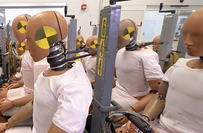 Image of crash test dummies. 